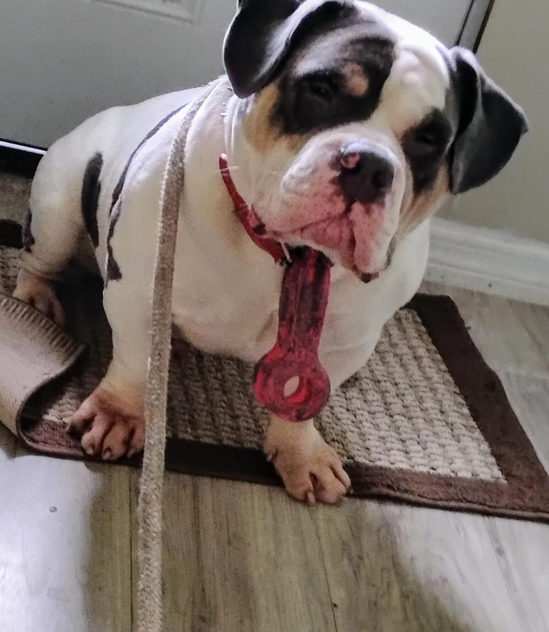 Profile photo 15 of 20