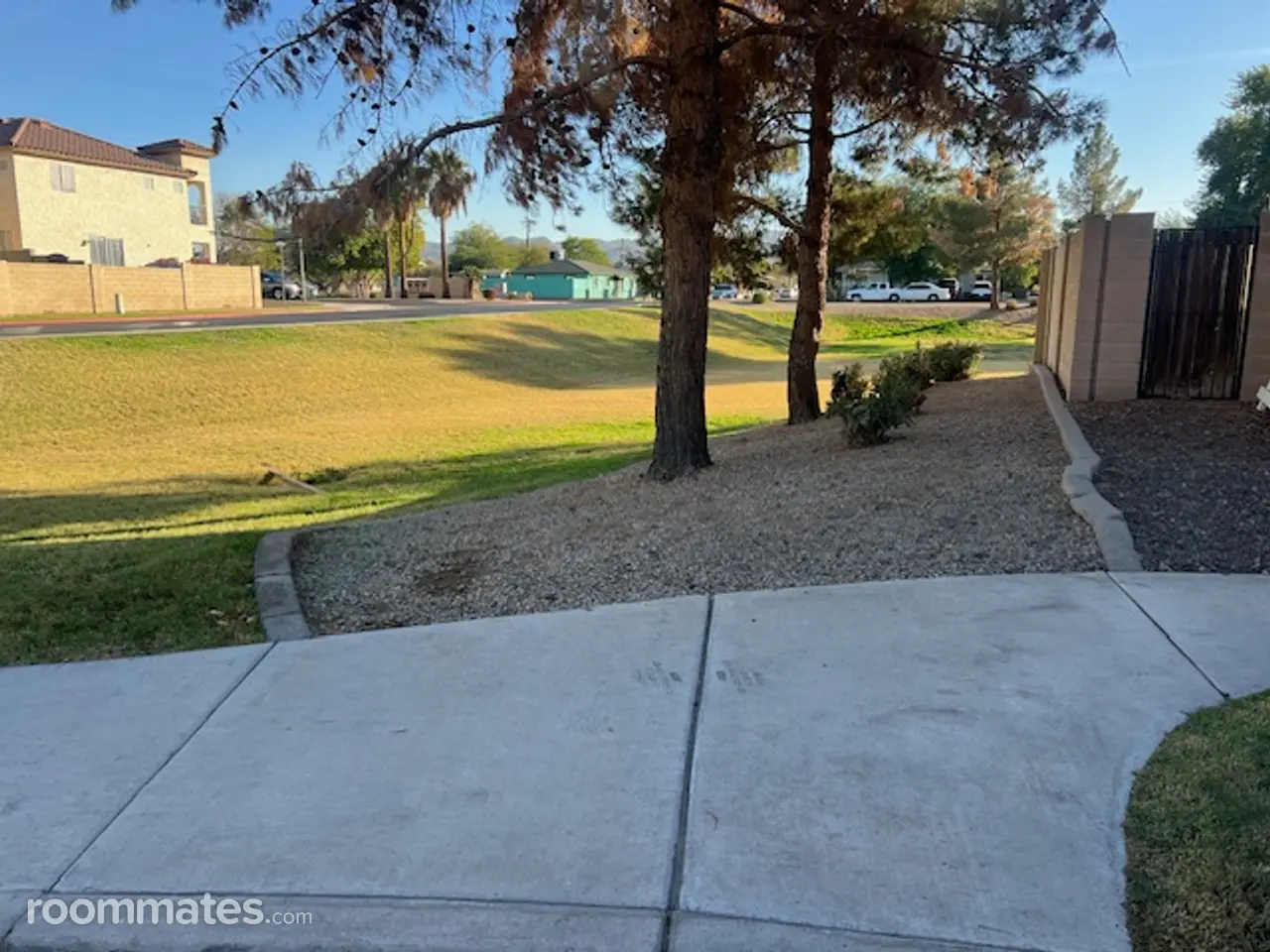 Profile photo 7 of 19