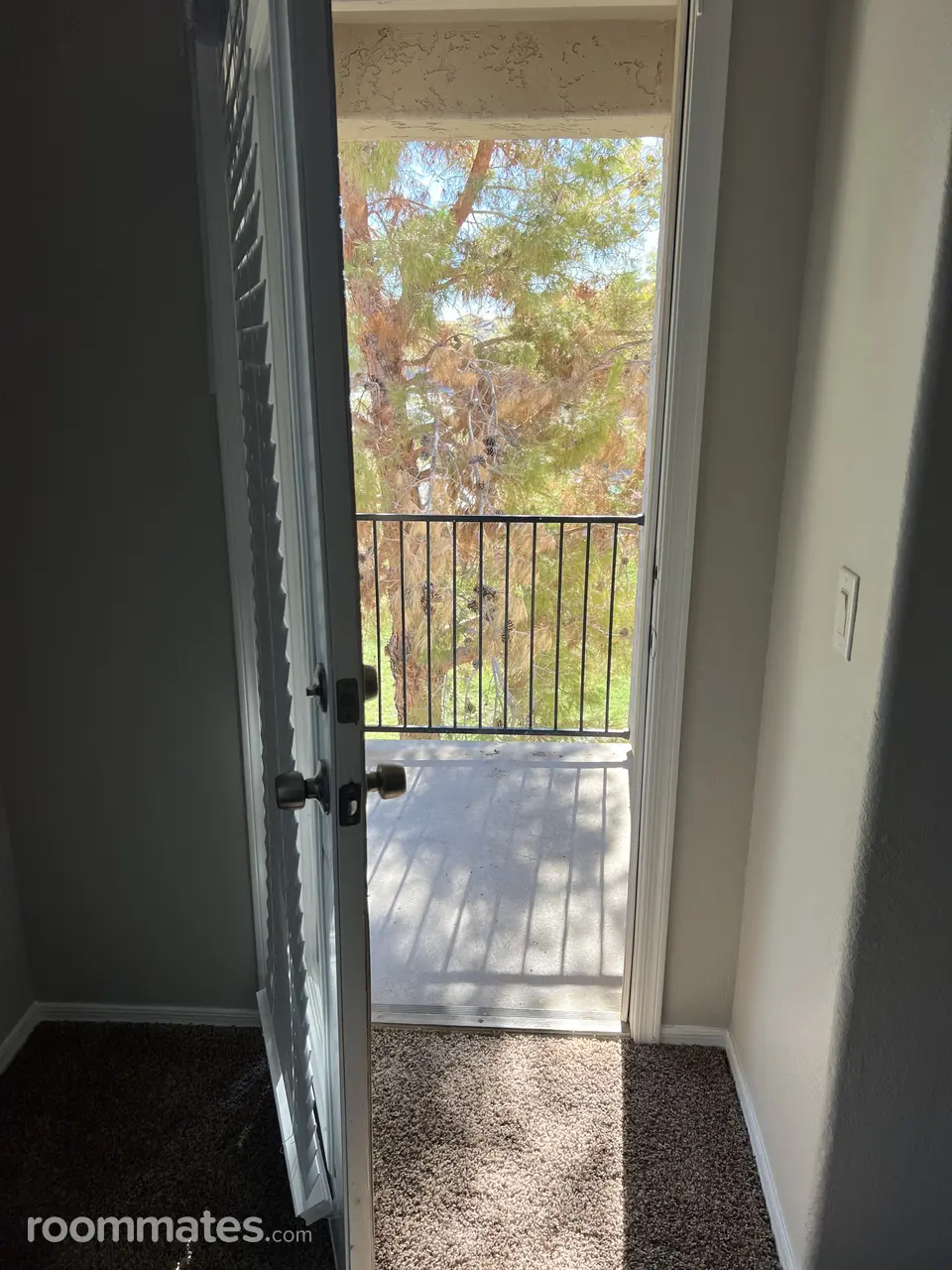 Profile photo 16 of 19