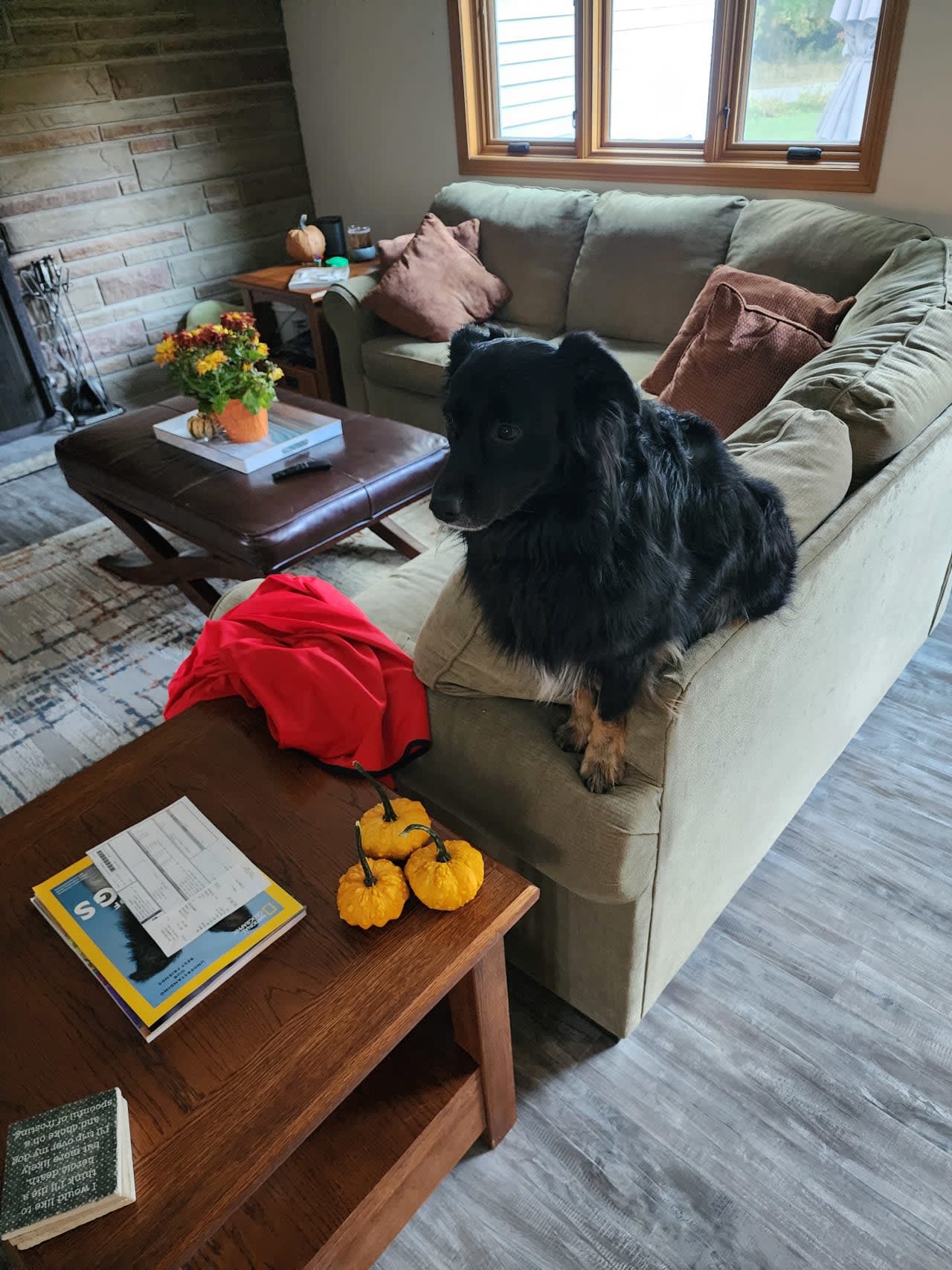 Profile photo 13 of 15