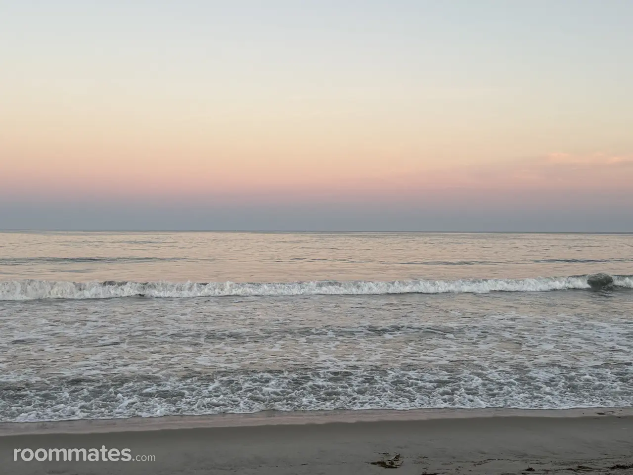 Profile photo 5 of 5