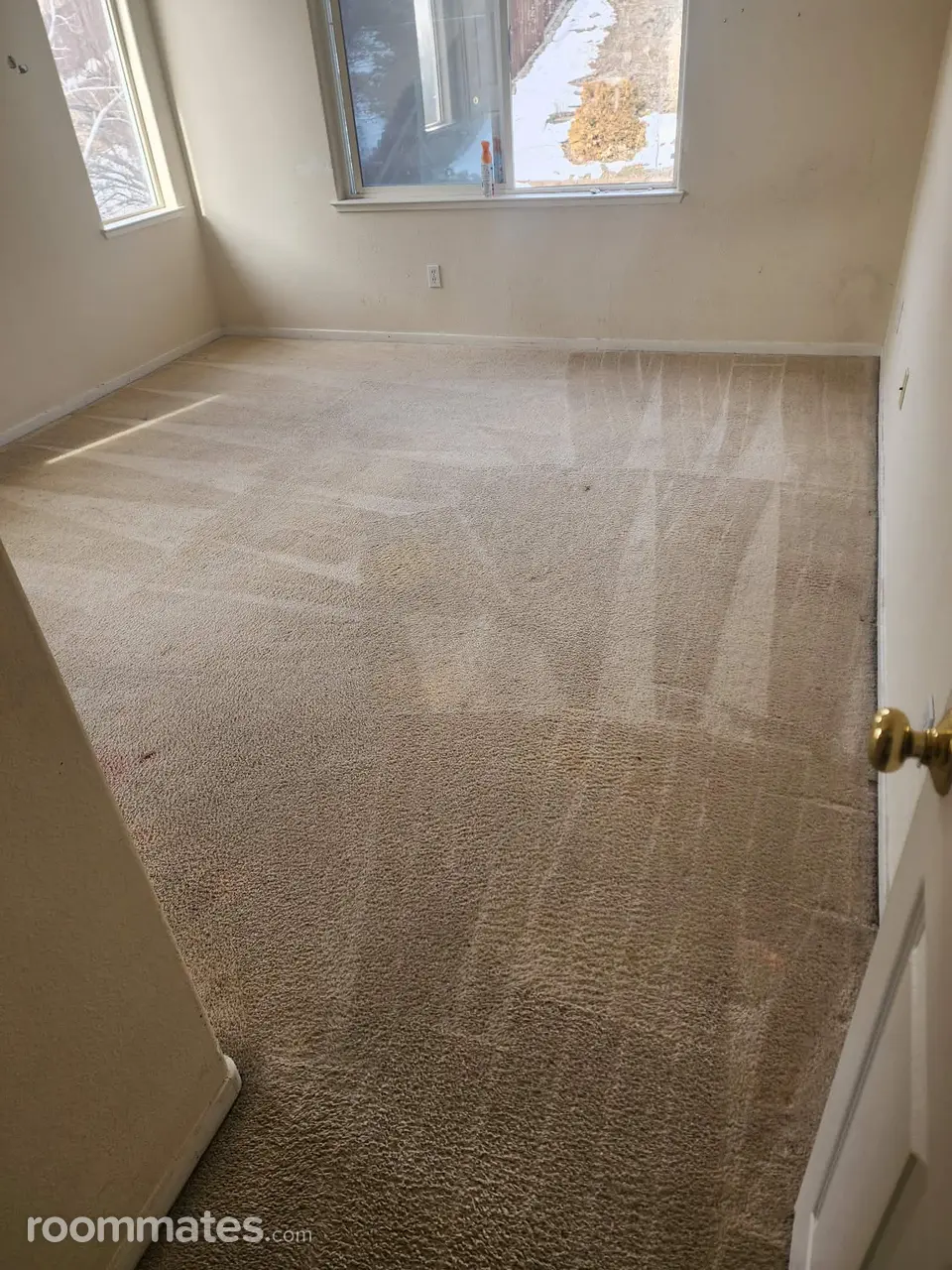 Profile photo 1 of 3