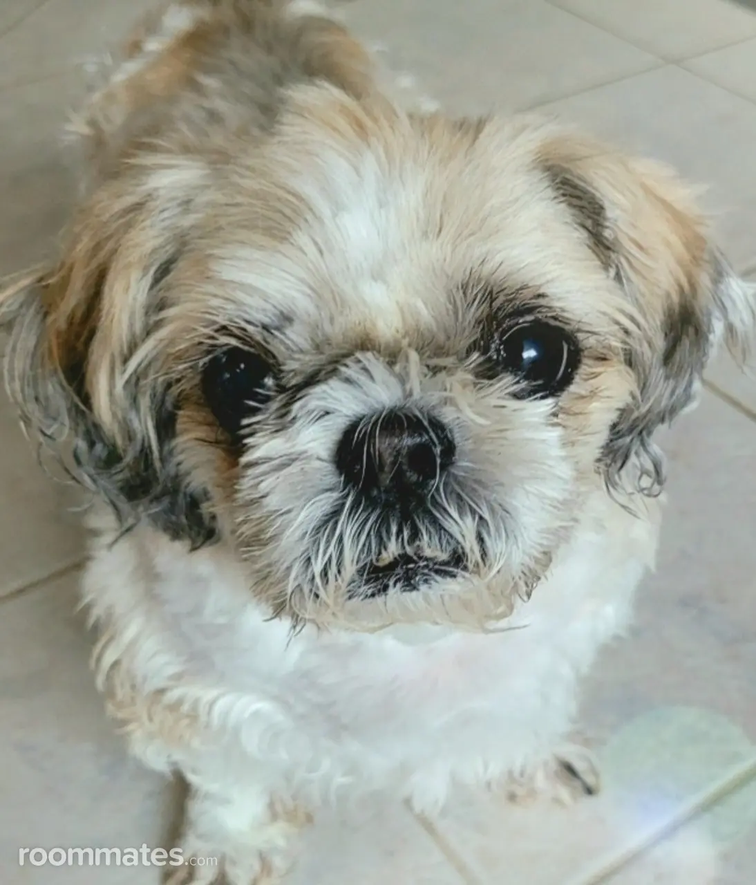 Profile photo 3 of 3