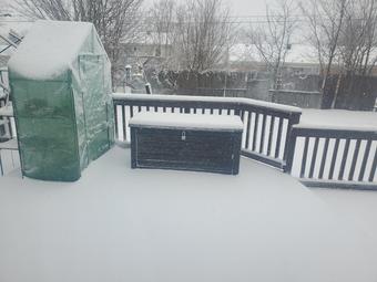 Room for rent in Cincinnati, OH $600, house