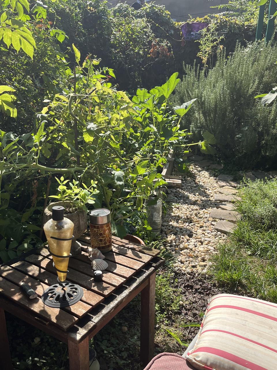 Profile photo 9 of 10