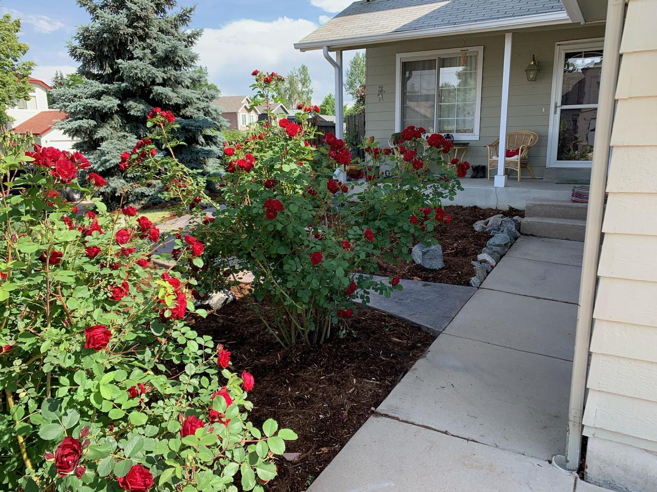 Profile photo 2 of 3