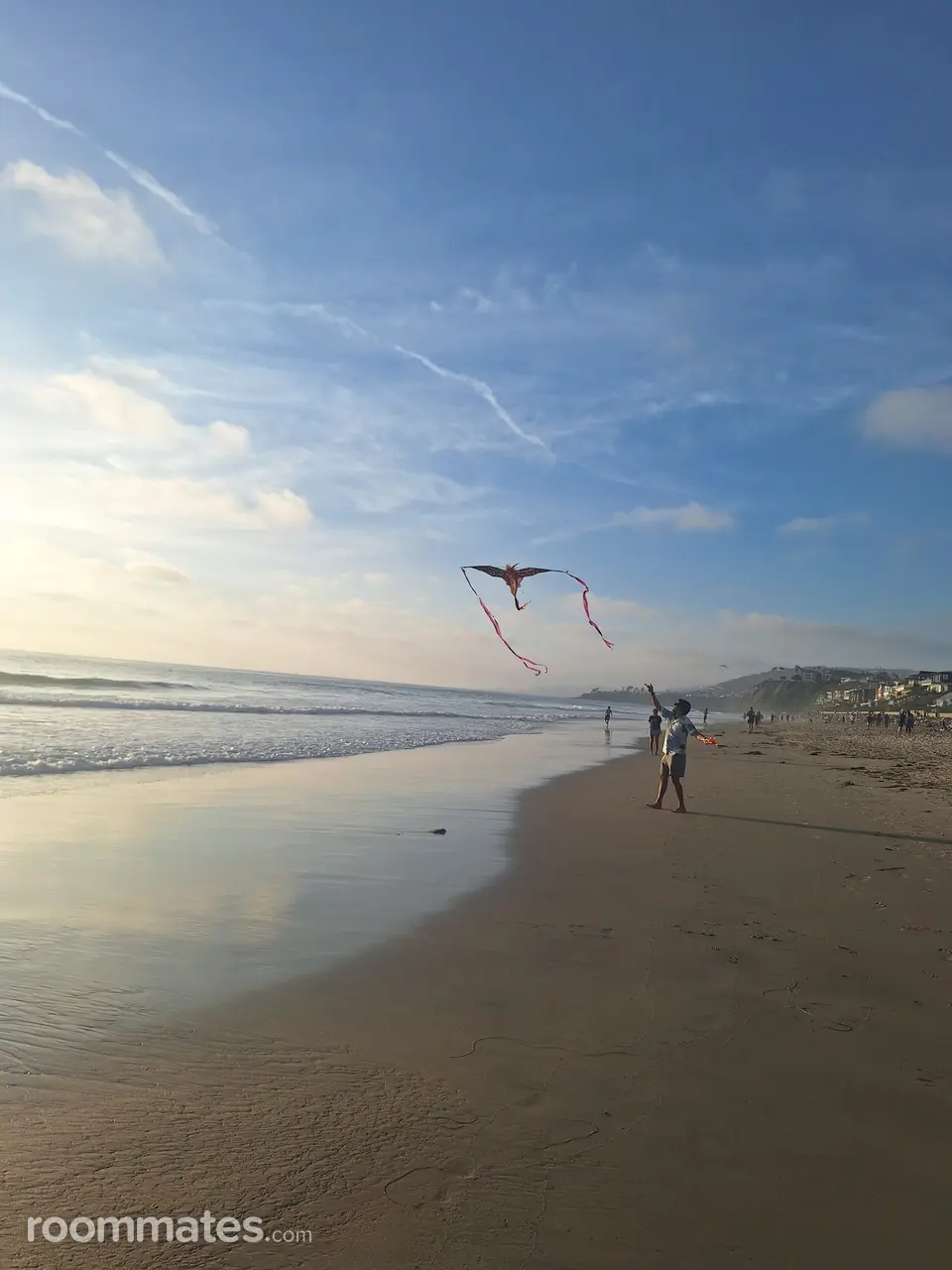 Profile photo 5 of 6