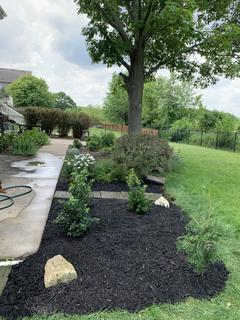 Room for rent in Bartlett, IL $1300, house