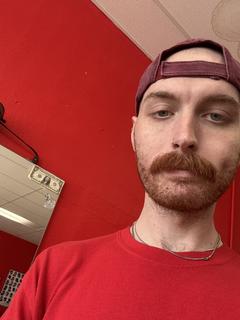 Roommate looking Asheville, NC, $800