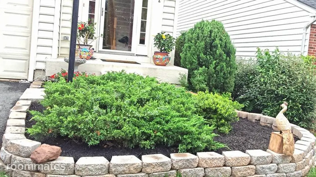 Profile photo 10 of 11