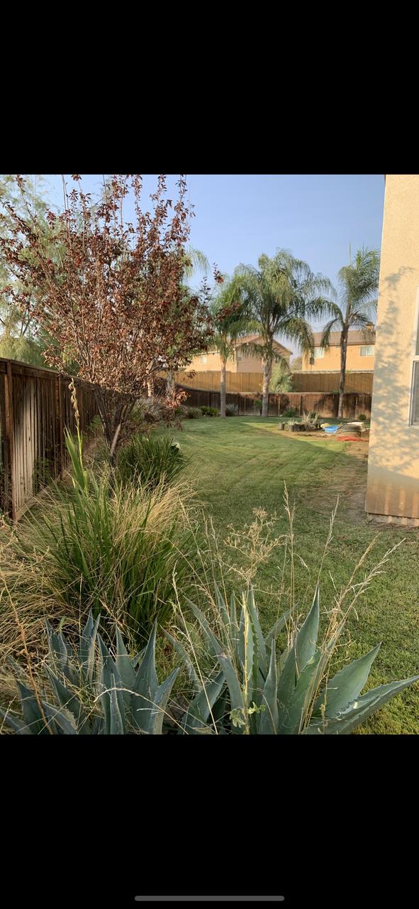 Profile photo 6 of 11