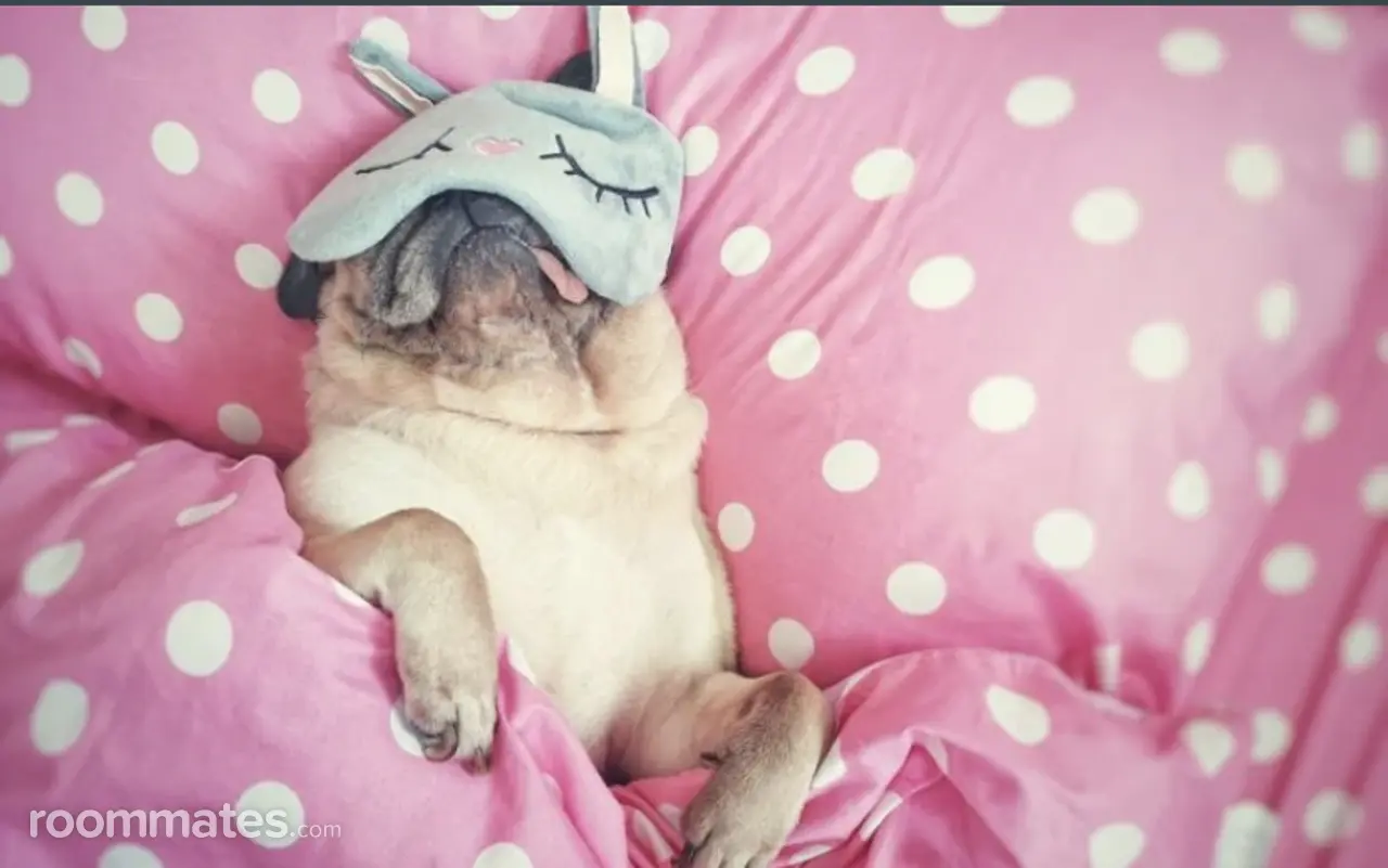 Profile photo 1 of 1