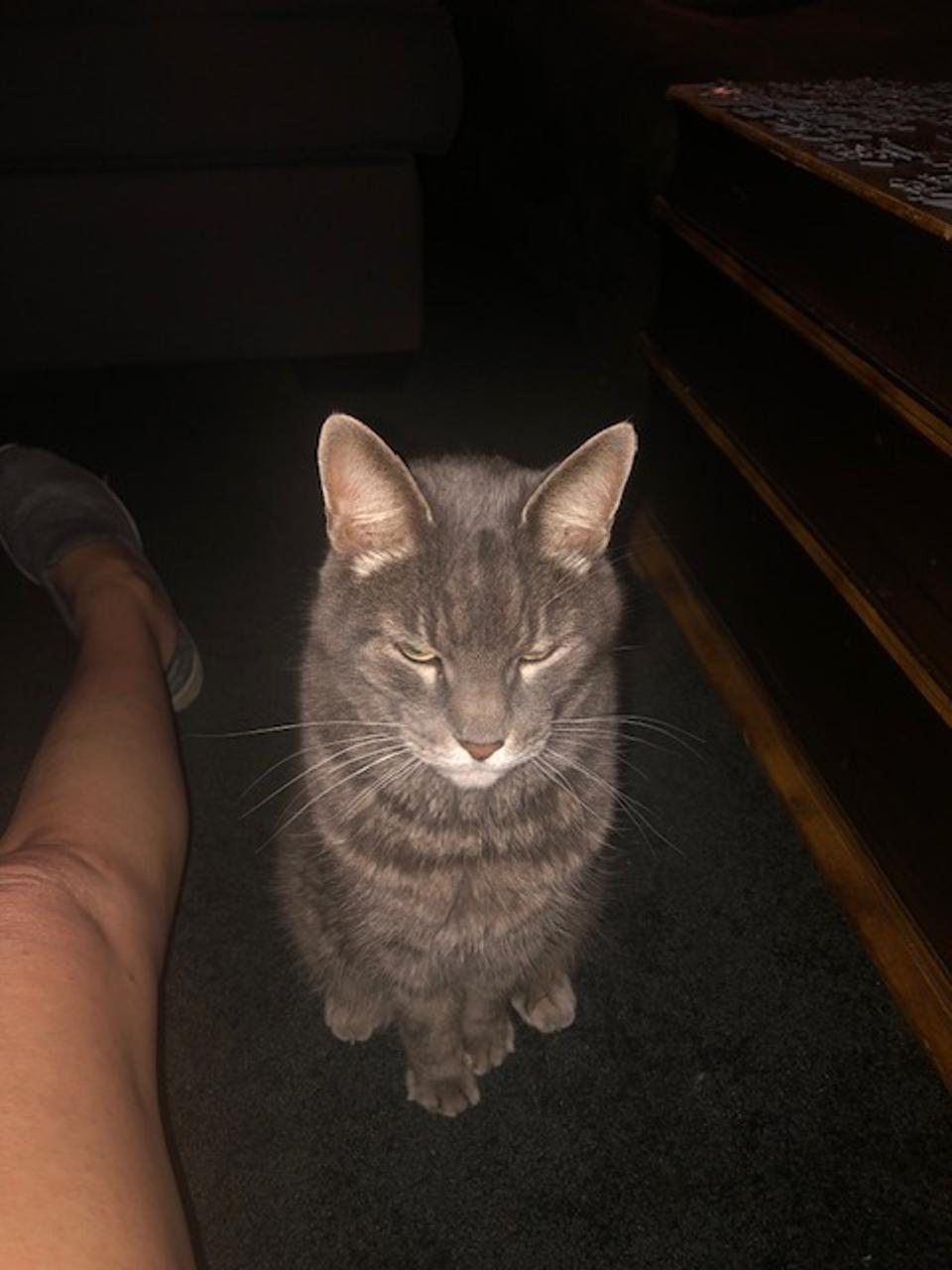 Profile photo 1 of 1