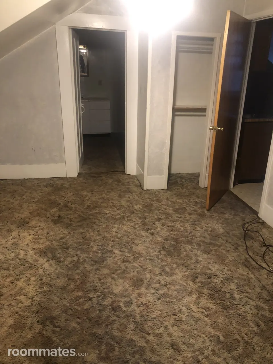 Profile photo 5 of 7