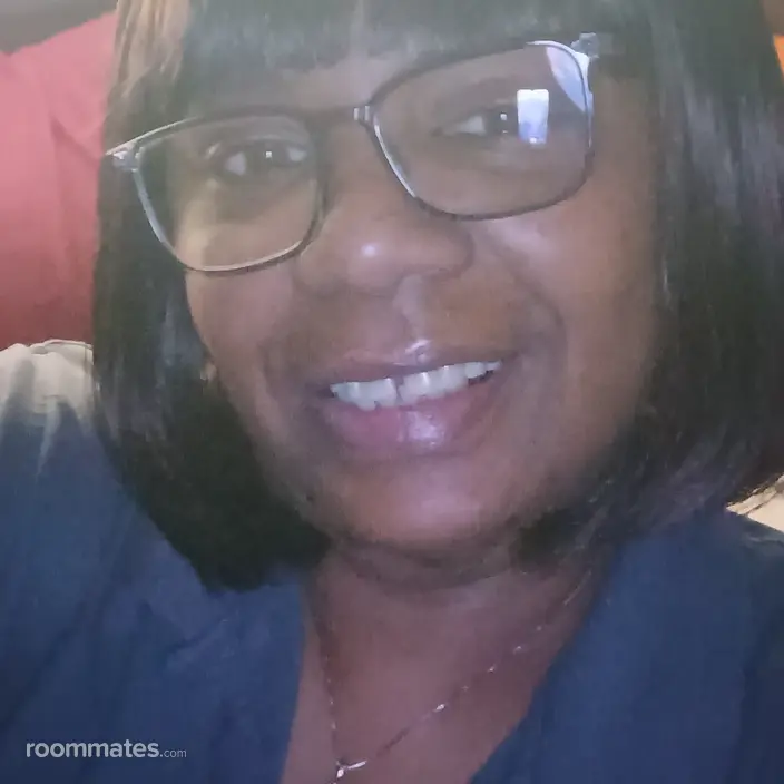 Roommate looking Mesquite, TX, $600