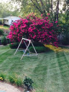 Room for rent in Woodbridge, VA $1550, house