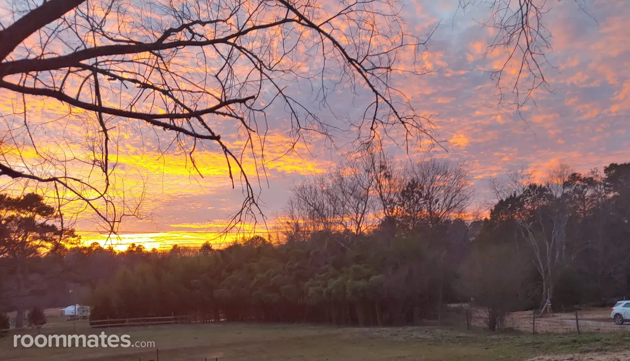 Profile photo 8 of 14