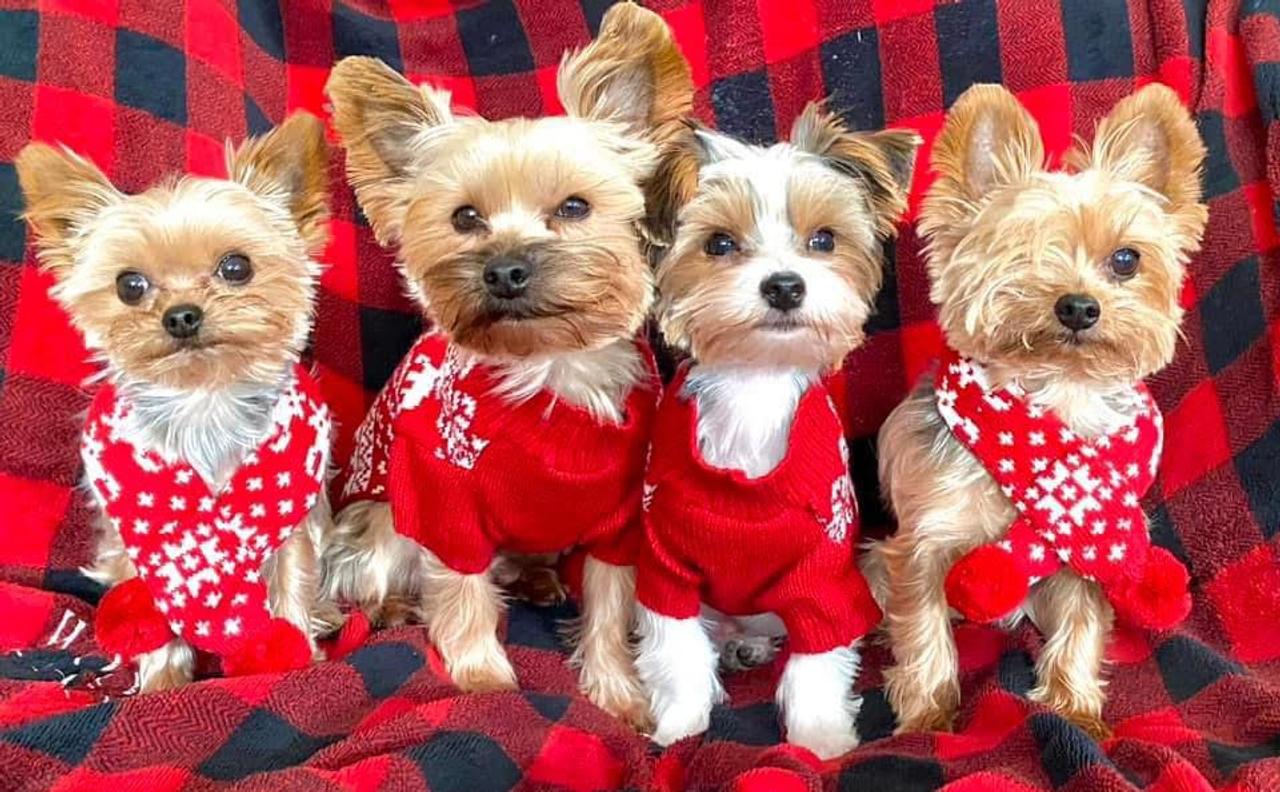 Profile photo 11 of 12