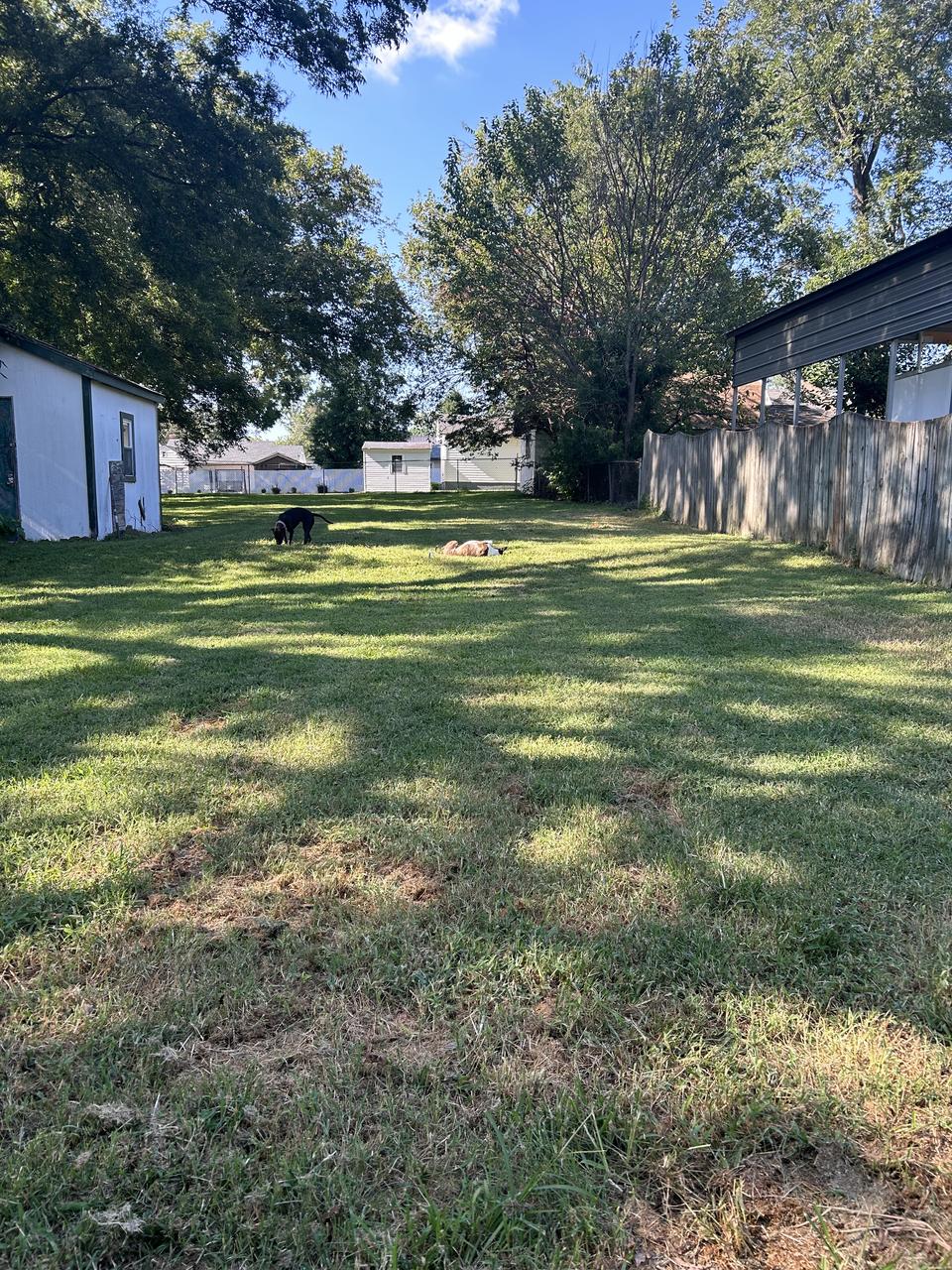 Profile photo 1 of 2