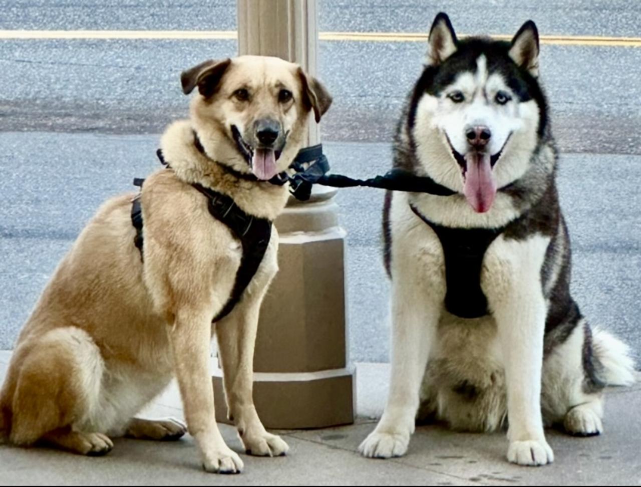 Profile photo 2 of 2