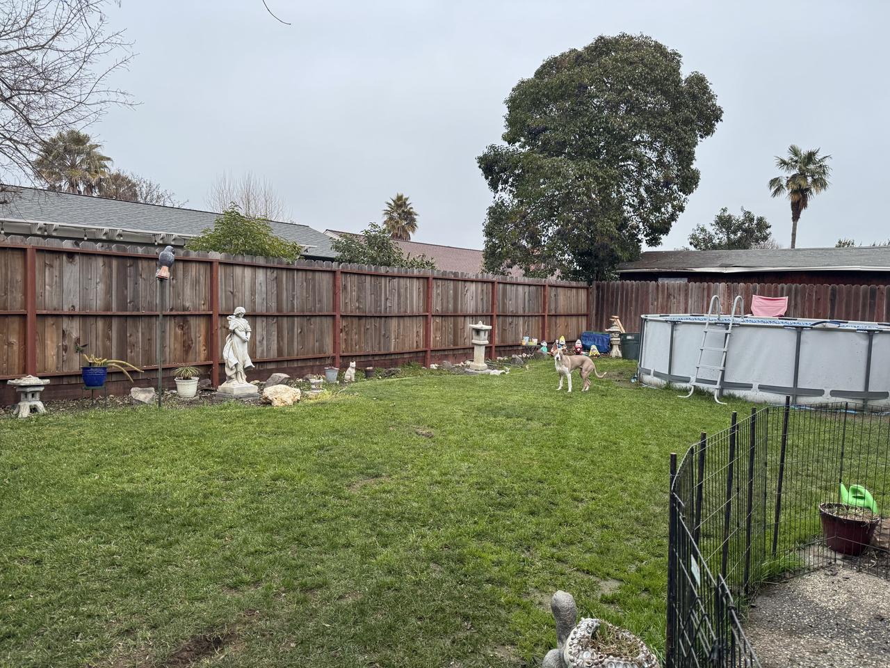 Profile photo 4 of 6