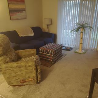 Room for rent in Indianapolis, Indiana $750, apartment