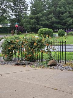 Room for rent in White Bear Lake, Minnesota $900, house