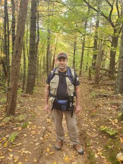 Roommate looking Lake Zurich, IL, $900