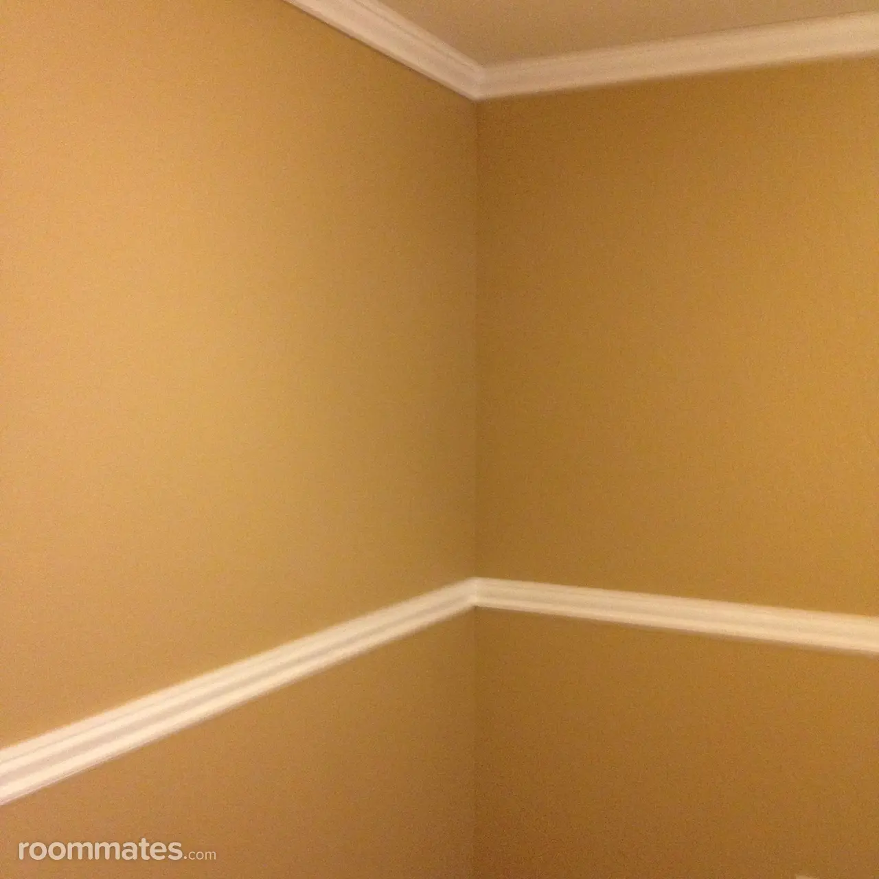 Profile photo 2 of 7