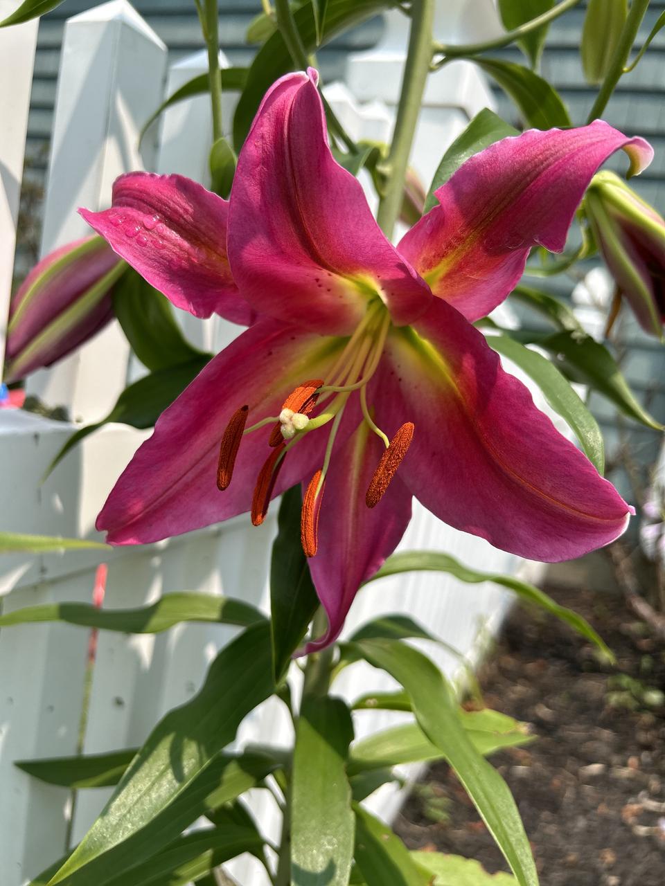 Profile photo 7 of 7