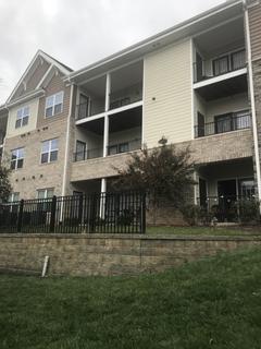 Room for rent in Greensboro, North Carolina $800, apartment