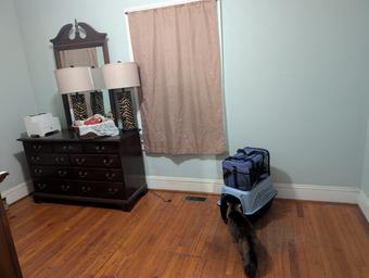 Room for rent in Greensboro, NC $600, house