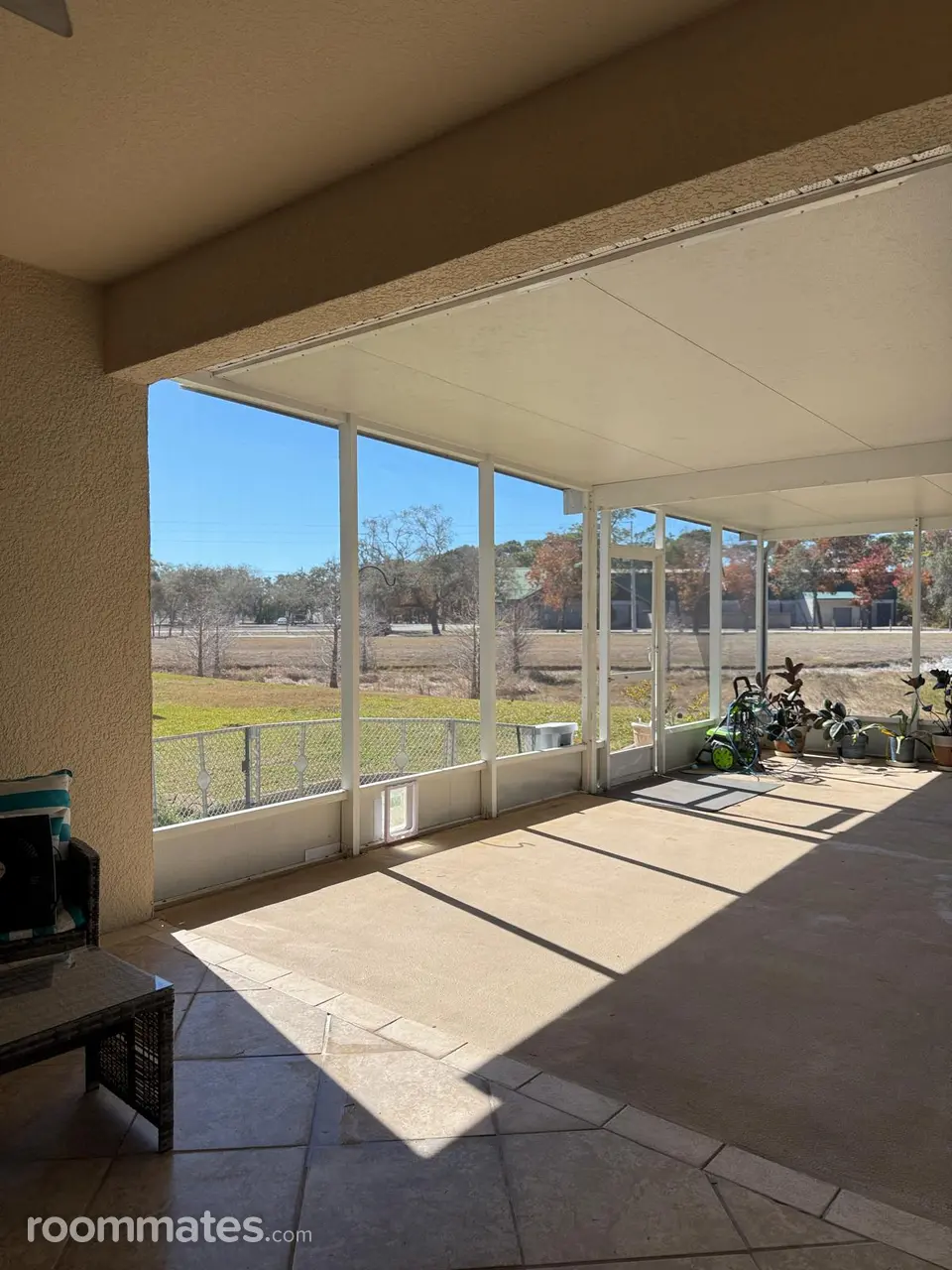 Profile photo 10 of 11