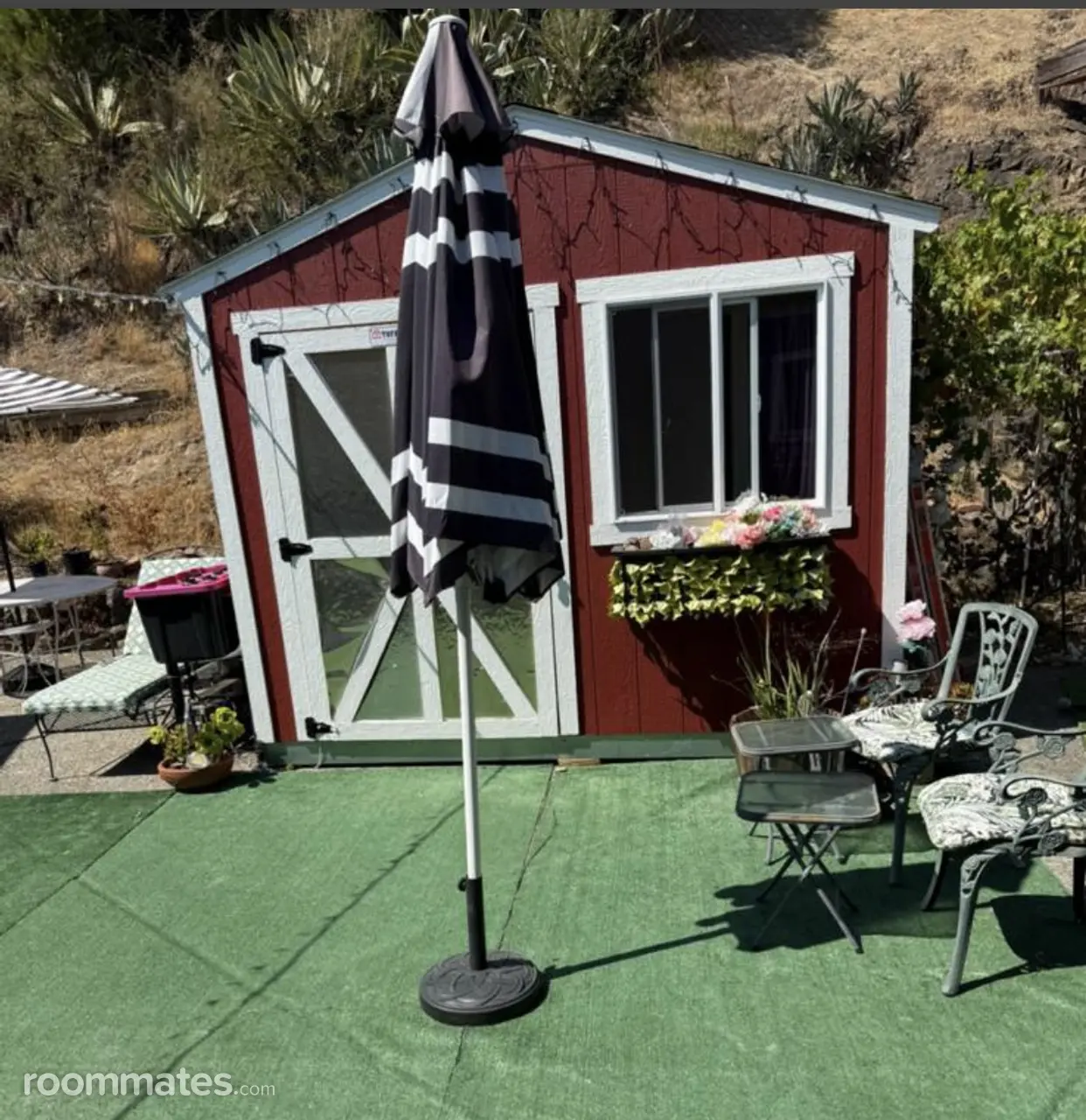 Profile photo 2 of 8