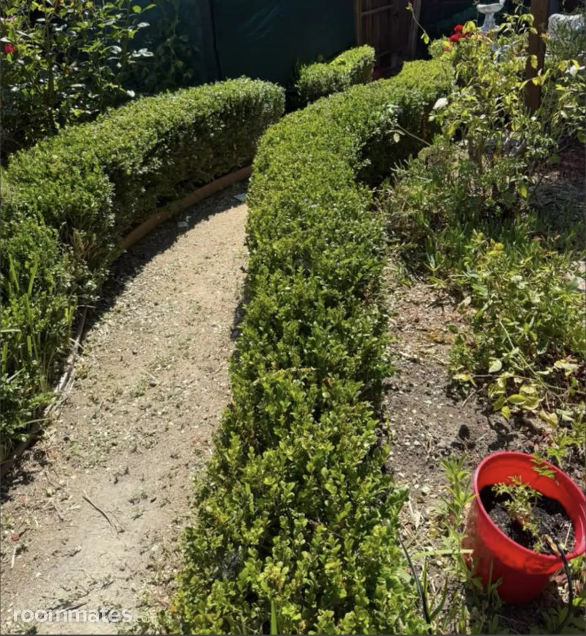 Profile photo 3 of 8