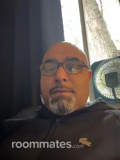 Roommate looking Romulus, MI, $700