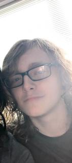 Roommate looking Irving, TX, $1000