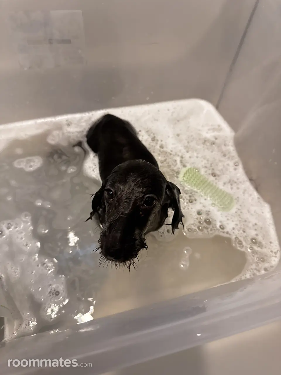 Profile photo 6 of 13