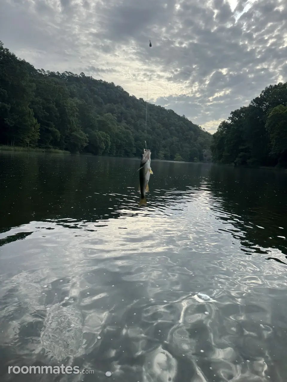 Profile photo 9 of 13