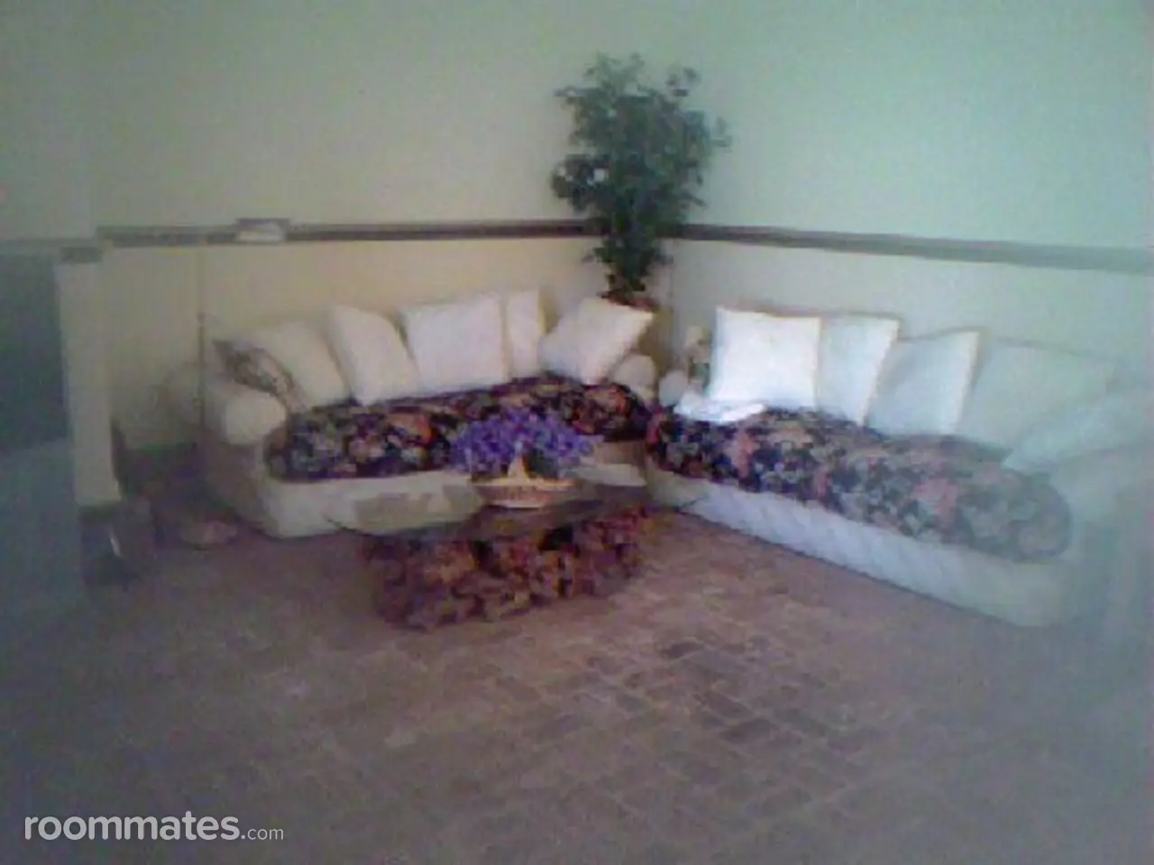 Profile photo 6 of 11