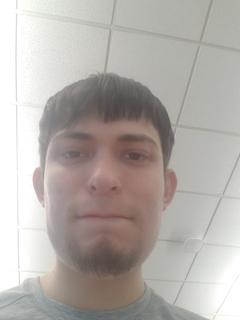 Roommate looking Ypsilanti, MI, $700