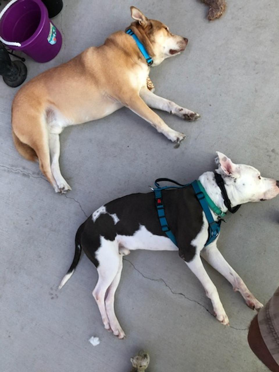 Profile photo 10 of 19