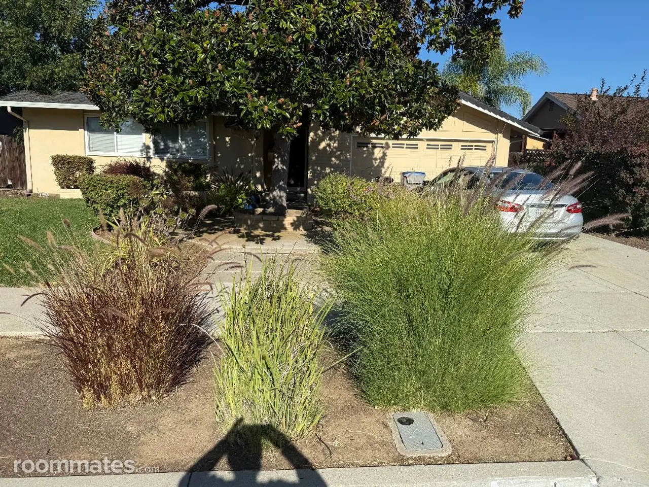 Profile photo 4 of 8