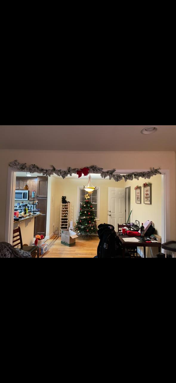 Profile photo 7 of 8