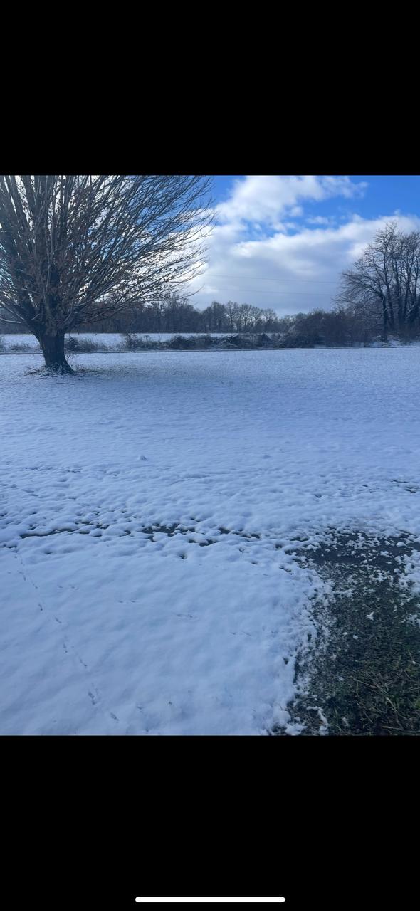 Profile photo 4 of 8