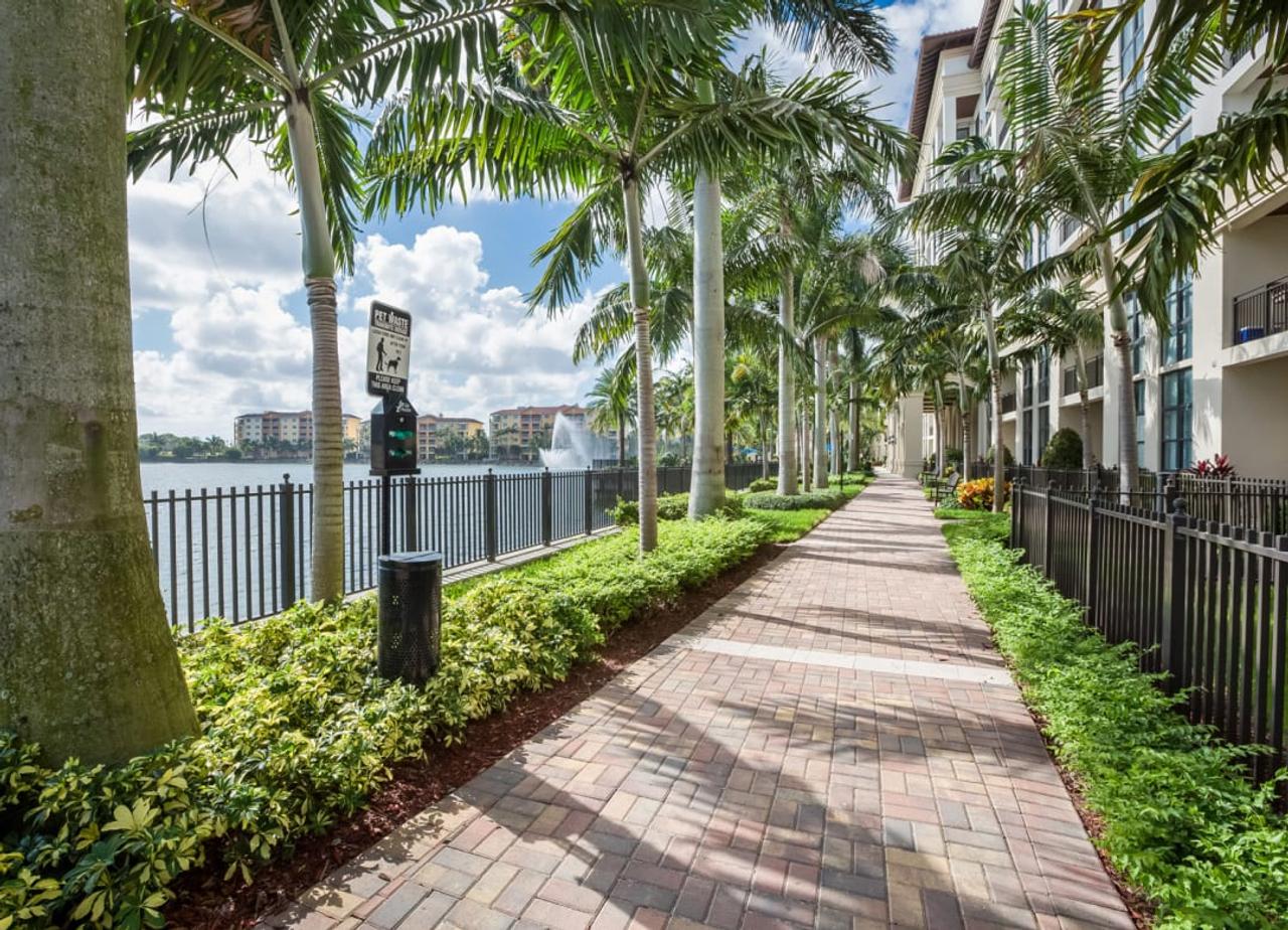 Profile photo 1 of 11