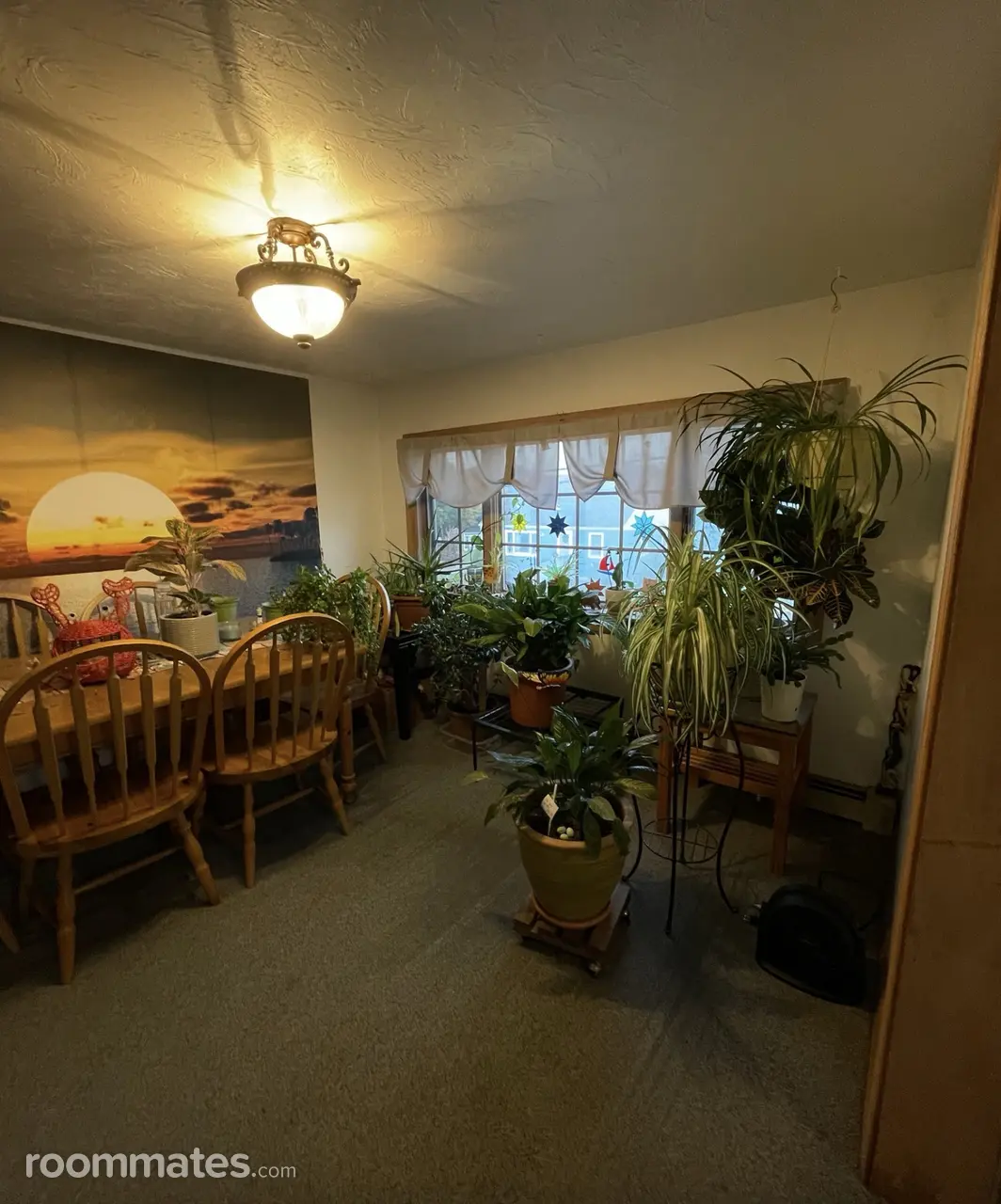 Profile photo 6 of 10