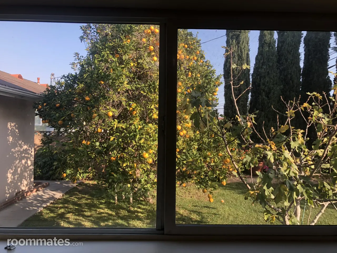 Profile photo 10 of 12