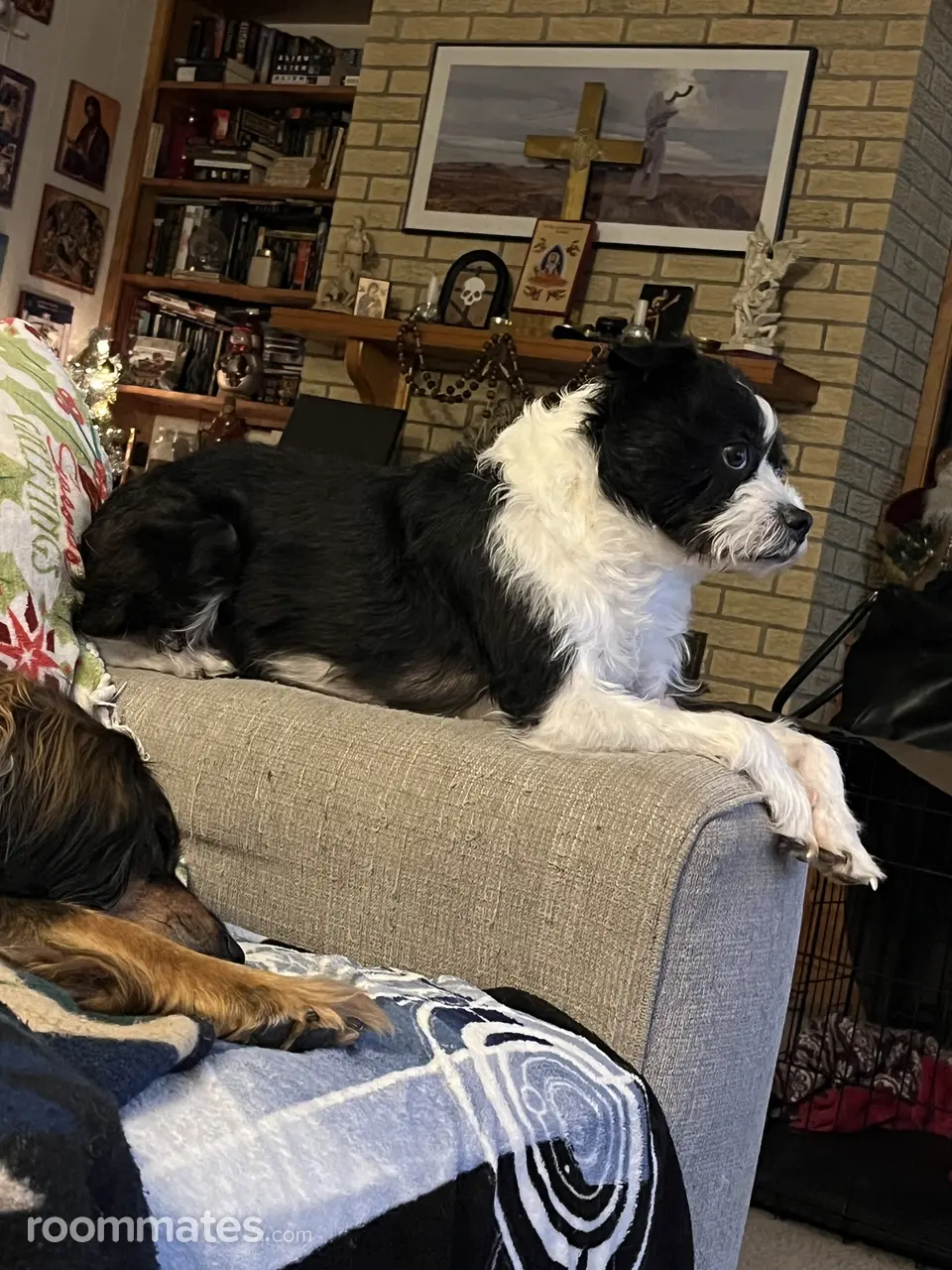 Profile photo 4 of 6