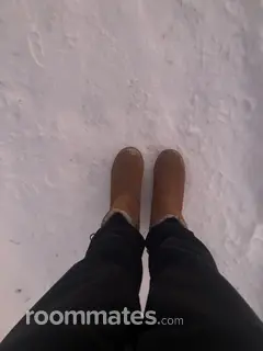 Roommate looking Saratoga Springs, NY, $800